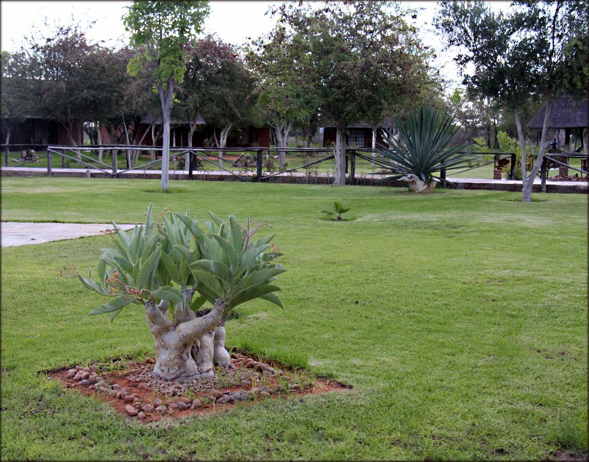 Fiume Lodge Grootfontein Exterior foto